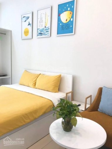 Danhland_cho Thuê Ch Millennium Q4,35m2, Giá Chỉ 10tr/tháng, Nhà đẹp, View Thoáng Lh 0916020270 3