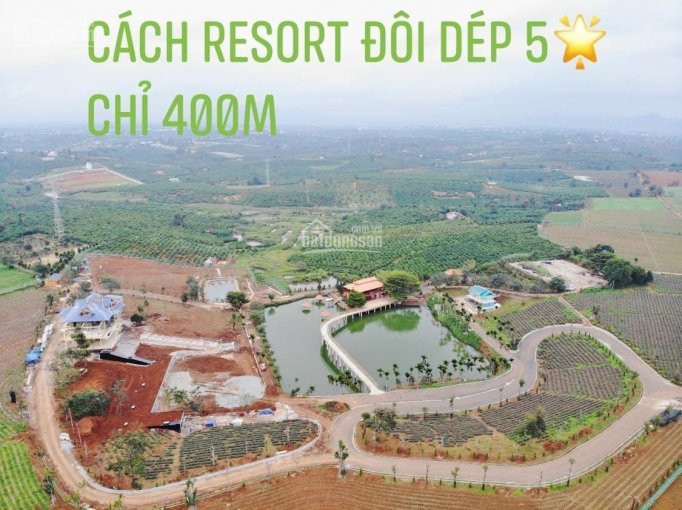 đất Biệt Thự View đồi Trung Tâm Lộc An đường Nhựa, Full Thổ Cư Sổ Riêng Từng Nền 340tr/120m2 3