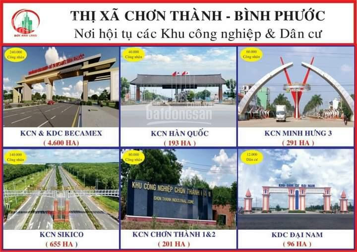 đất Bình Phước Sổ Hồng Riêng Giá Rẻ 3