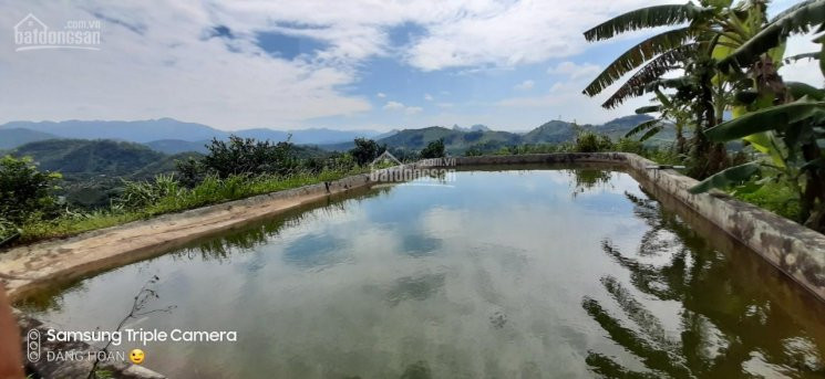 đất Cao Phong Rẻ Quá ạ, Diện Tích Từ 2000m đến Hơn 1ha Giá Trên Dưới 1 Tỷ Chút Xíu 1