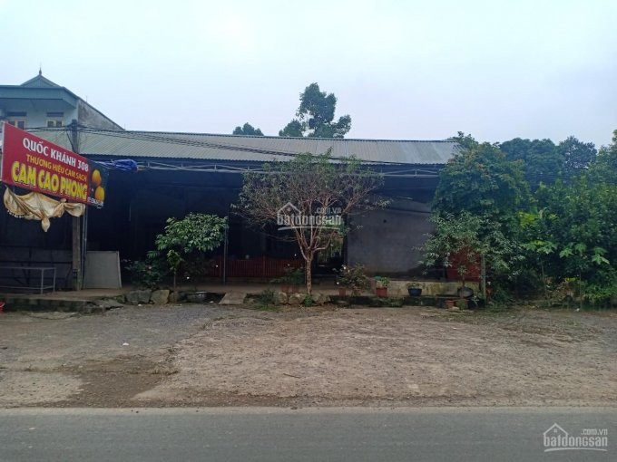 đất Cao Phong Rẻ Quá ạ, Diện Tích Từ 2000m đến Hơn 1ha Giá Trên Dưới 1 Tỷ Chút Xíu 3