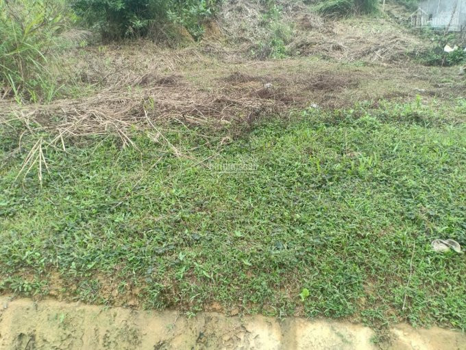 đất Cao Phong Rẻ Quá ạ, Diện Tích Từ 2000m đến Hơn 1ha Giá Trên Dưới 1 Tỷ Chút Xíu 8