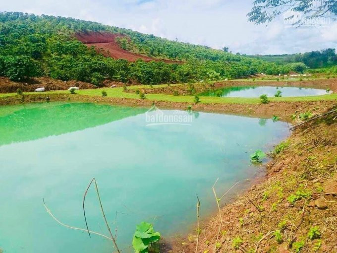 đất Nền Làng Sinh Thái Bảo Lộc : Kiệt Tác Của Thiên Nhiên : La Nature :  Chiết Khấu Lên đến 9% 7