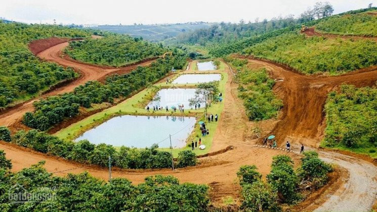 đất Nền Làng Sinh Thái Bảo Lộc : Kiệt Tác Của Thiên Nhiên : La Nature :  Chiết Khấu Lên đến 9% 8