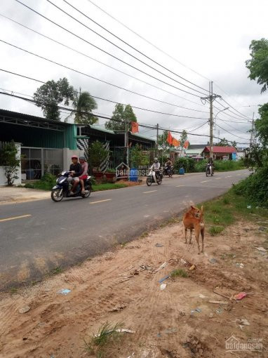 đất Ngã Tư Nguyễn Thị Rành & Hương Lộ 2, Củ Chi 3