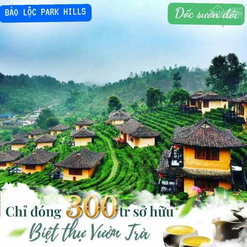 đất Nghỉ Dưỡng Bảo Lộc Park Hills 2