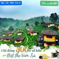 đất Nghỉ Dưỡng Bảo Lộc Park Hills 7