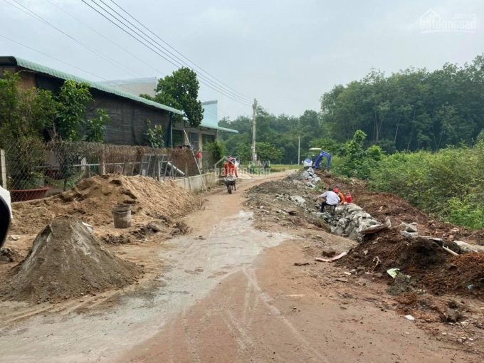 đất Tân định Ngay Trường Tiểu Học định Phước, đường đang Làm Nhựa 7 Mét Thông Mỹ Phước Tân Vạn 8