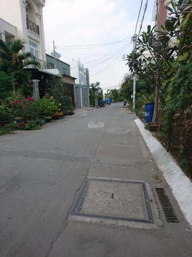 đất Thổ Cư 906m2 Bùi Thanh Khiết, Bình Chánh 2