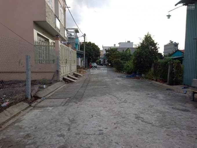 đất Thổ Cư 906m2 Bùi Thanh Khiết, Bình Chánh 3