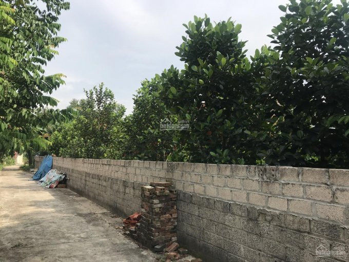 đất Thổ Cư Phú Mãn 500m2 Giá 3 Triệu/m2 View Rất đẹp Gt Thuận Lợi, Chủ đất 0982853734 5