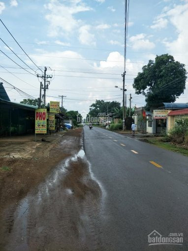 Dat Trang Bom - Dong Nai - Chinh Chu 3