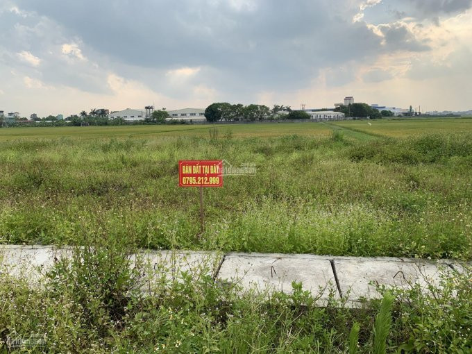 đất Vàng Khu Công Nghiệp Vĩnh Hồng, Bình Giang, Giá Siêu Rẻ Cho Nhà đầu Tư 4