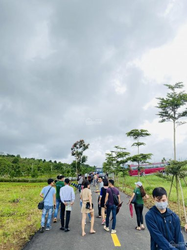 đầu Tư Ngay Siêu Phẩm Quý Iv/2020, đất Nền Bảo Lộc View Hồ, đồi Thông - đất Thổ Cư 100% 3