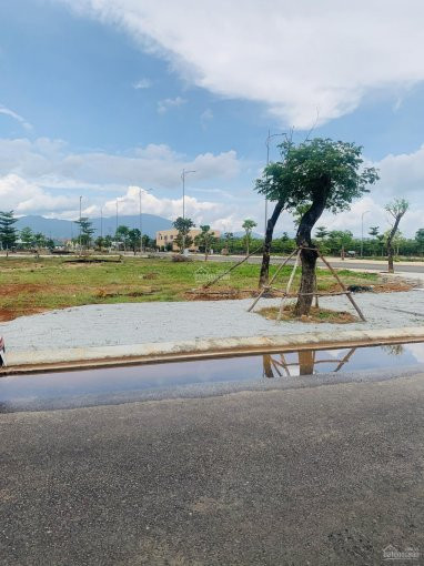 Dragon Smart City,kẹp Công Viên,view Kênh đường 10,5m,đông Nam,giá Rẻ Tt Hơn 500tr:lh:0965192772 5