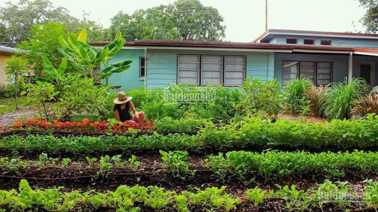 Em Còn Vài Nền đường Xe Hơi, Làm Nhà Vườn Sinh Thái Tuyệt đẹp Tại Nhơn Trạch, Cách Sài Gòn Chỉ 5km 2