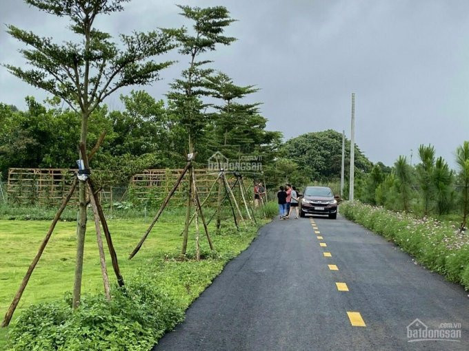 Gấp, Cần Bán Gấp Lô đất Thổ Cư ở Bảo Lộc, Ngay Mặt Tiền Lý Thái Tổ Liên Hệ 0946624835 2