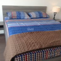 Giá Cực Sốc Chỉ 11 Tr/tháng Bpql-thuê Ngay 2pn Lotus 92m2, View Sông Và Hồ Bơi Cực đẹp, 0938390795 10