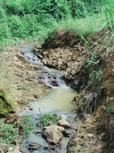 Hàng Hiếm, Cần Bán Lô đất Suối Khoáng Nóng Tại Kim Bôi, Cách Ql 12b Chỉ 100m 4