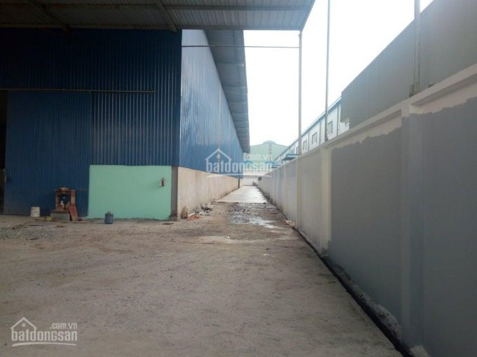 Kho, Xưởng Long An 1000m2, 1500m2, 2000m2, 2700m2 Giá 55000đ/m2/th 1