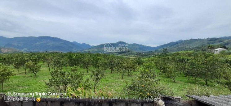 Khuôn Viên 2500m2 View Núi đẹp Cực Kỳ Tại Cao Phong, Hòa Bình Cần Bán Gấp 8