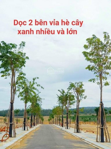 Kỳ Co Gate Way ( điểm đến Lý Tưởng Cho Nhà đầu Tư ) 6