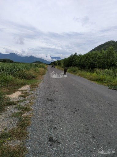 Lô đất Rẫy đẹp Có Suối Có đồi Cách đường Chính 200 Mét 2