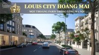 Louis Hoàng Mai - đất Nền đáng đầu Tư Nhất Hà Nội, đẳng Cấp Hoàng Gia Pháp - Giá Chỉ Từ 80tr/m2 10