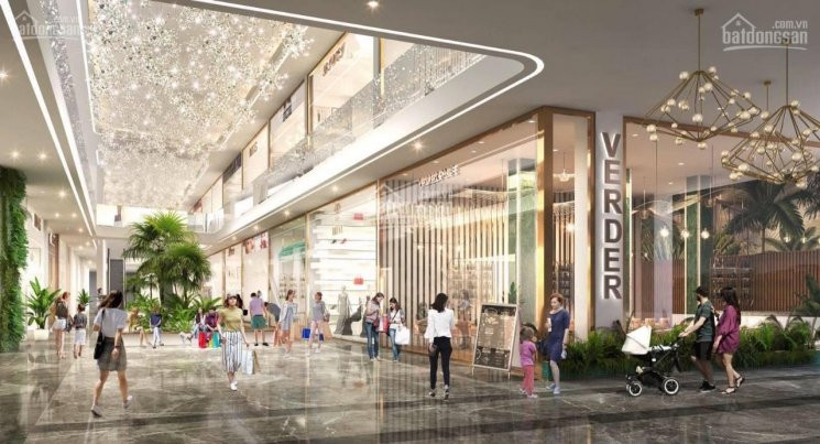 Mở Bán Shophouse Khối đế Chung Cư Sky Oasis Ecopark Kinh Doanh đỉnh, Chiết Khấu 9%, Cho Vay 65% 4