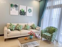 (mới Nhất) Cho Thuê Căn Hộ Vinhomes D'capitale Trần Duy Hưng: Studio 1-2-3pn, đcb/full Từ 9tr/th 9