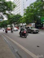 Mp Nguyễn Trường Tộ: 120m, 10 Tầng, Kinh Doanh Số 1 Ba đình, Chỉ 65 Tỷ Lh  0966752013 2