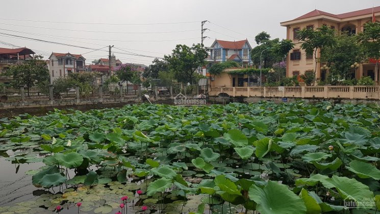 Nhà Lô Góc 2 Mặt Thoáng, 3 Phòng Ngủ, Vuông Vắn, Phong Thủy Tốt, 4 Tầng Xây Mới Lh 938923696 7