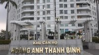 Phòng ở Cc Hoàng Anh Thanh Bình Full Nội Thất đối Diện St Lotte Mart, Gần đh Rmit Và Tôn đức Thắng 16