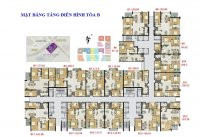 Rất Nhiều Ch Thăng Long Number One Bán Cắt Lỗ Dt 87,91,96,112m2, 116,131,136,162,173m2 Giá 32tr/m2 9