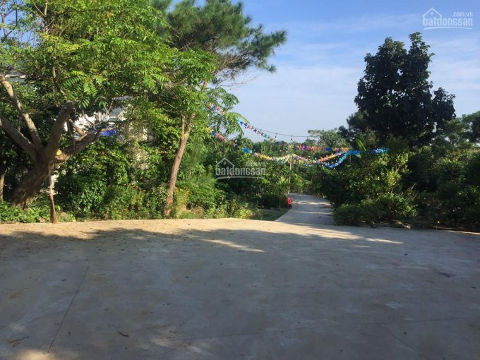 Sãn Khuôn Viên, Nhà đẹp, Chỉ Việc ở Tại Ba Vì Dt 6000m2, Mặt Tiền Rất Rộng, View Cực Thoáng đẹp 3