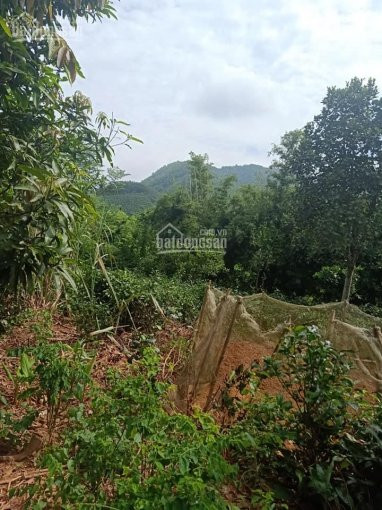 Siêu Phẩm Nghỉ Dưỡng Nhà Vườn View Sông Hồ 2700m2, đất ở 400m2, Thế đất Hình Mai Rùa 3