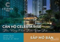 Sở Hữu Căn Hộ Celesta Rise Keppel Land Bán đợt 1 Chỉ Với 45tr/m2 Chiết Khấu Lên đến 120 Triệu đồng 10