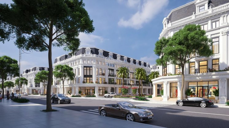 Sở Hữu Lô Liền Kề, Biệt Thự View Hồ Yên Sở Tại Kđt Louis Hoàng Mai, Mua Trực Tiếp Cđt Ck Lên đến 7% 4