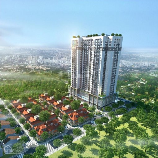 Suất Ngoại Giao Chung Cư Thanh Xuân Complex Nhận Nhà ở Ngay Chỉ Với 50%, 2 Phòng Ngủ 828m2 1