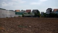 Thanh Toán 1230 Tỷ Sử Dụng Lâu Dài đất 85m2 Ngay đường Bưng ông Thoàn, Quận 9 Gọi: 0932985604 6