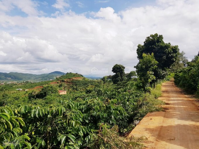 Thích Hợp Phân Lô- 100% Quy Hoạch Thổ Cư, Mặt Tiền Dài, View Thoáng đẹp 2