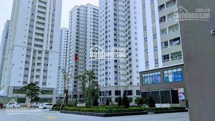 Thiếu Tiền đóng đợt Cuối Cần Bán Căn 104m2, Bc đông Nam đẹp Nhất Dự án Mipec City View Kiến Hưng 2