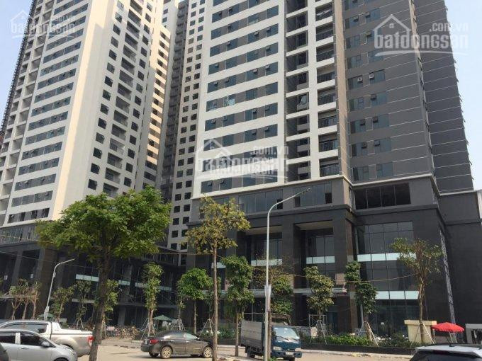 Tôi Cần Bán Căn Hộ Full Nội Thất Chung Cư Việt đức Complex, Căn B04 Diện Tích 100m2, Cửa đn View Hồ 4