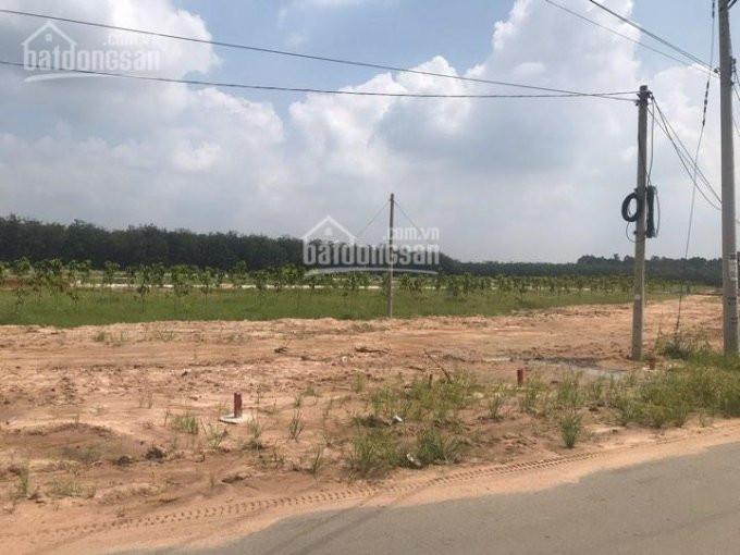 Tôi Chính Chủ Bán 12000m2 đất Thổ Cư Trung Lập Thượng, Củ Chi 1