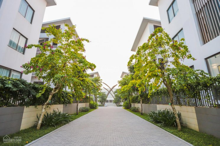 Tổng Hợp Quỹ Căn Biệt Thự Khai Sơn Hill Cần Bán Lại Vị Trí đẹp, Giá Mềm Lh: 0968966638 5
