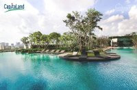 Tổng Hợp Quỹ Căn Hộ Thuê Vista Verde Mới Nhất, Giá Tốt Nhất Thị Trường Gọi Ngay 0938390795 Msthúy 33