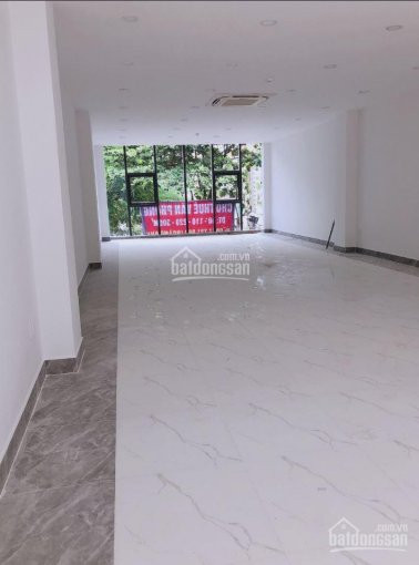 Văn Phòng Quận Tân Bình Mt Núi Thành Giao Cộng Hoà 50m2 Lh 0898460238 1