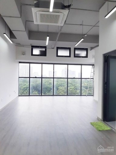 Vp, Officetel Sun Avenue 30-100m2, Có Phòng Gđ, được đkkd, Có Ntvp, Hầm Xe ( Cách Q1 10p) 2