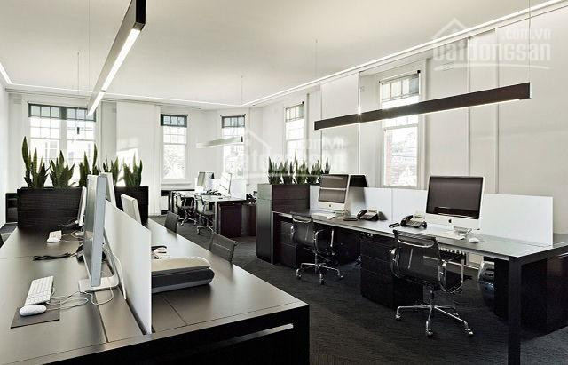 Vp, Officetel Sun Avenue 30-100m2, Có Phòng Gđ, được đkkd, Có Ntvp, Hầm Xe ( Cách Q1 10p) 4