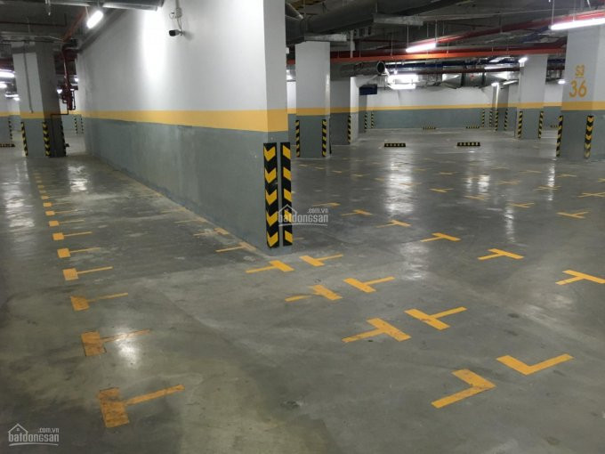 Vp, Officetel Sun Avenue 30-100m2, Có Phòng Gđ, được đkkd, Có Ntvp, Hầm Xe ( Cách Q1 10p) 8
